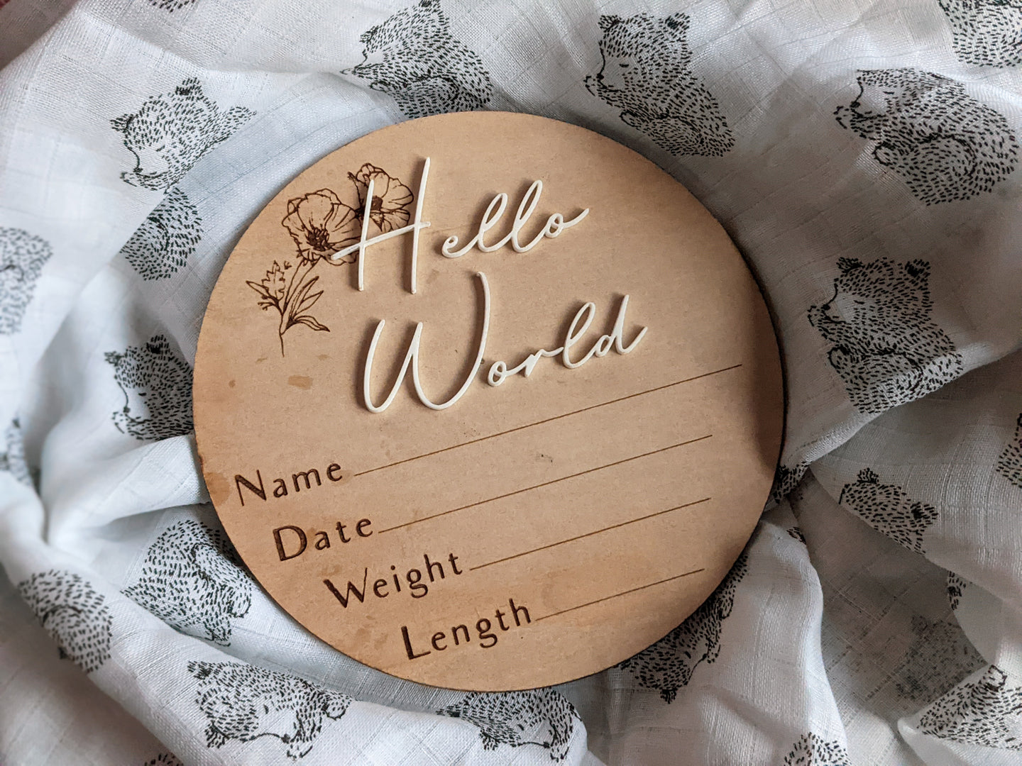 Hello World Baby Announcement Plaques