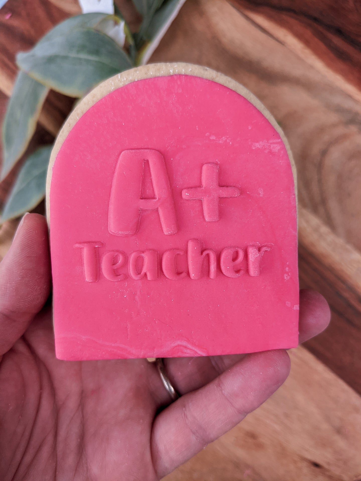 A+ Teacher Fondant Debosser
